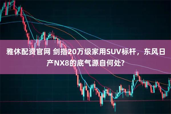 雅休配资官网 剑指20万级家用SUV标杆，东风日产NX8的底气源自何处?